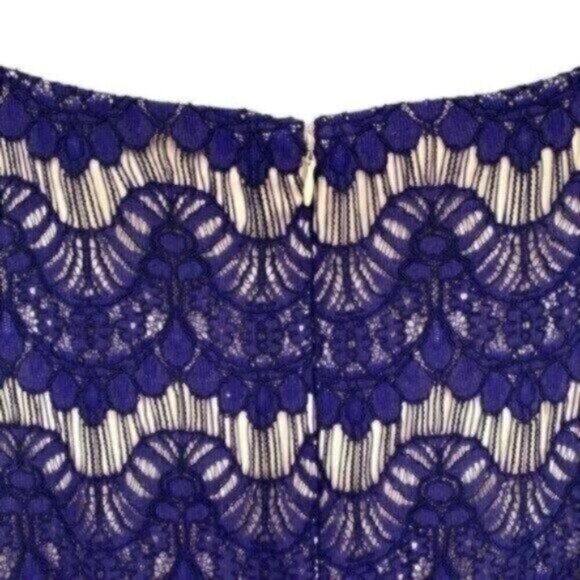 Jessica Howard Women's Lace Illusion Sheath Dress - Picture 11 of 15